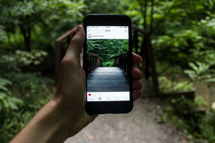Instagram on Mobile device with nature as the backdrop - Photo by Jeremy Levin via Pexels - CC0 License - https://www.pexels.com/photo/person-holding-smartphone-taking-picture-of-bridge-during-daytime-122383/