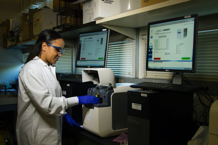 DNA Genotyping and Sequencing