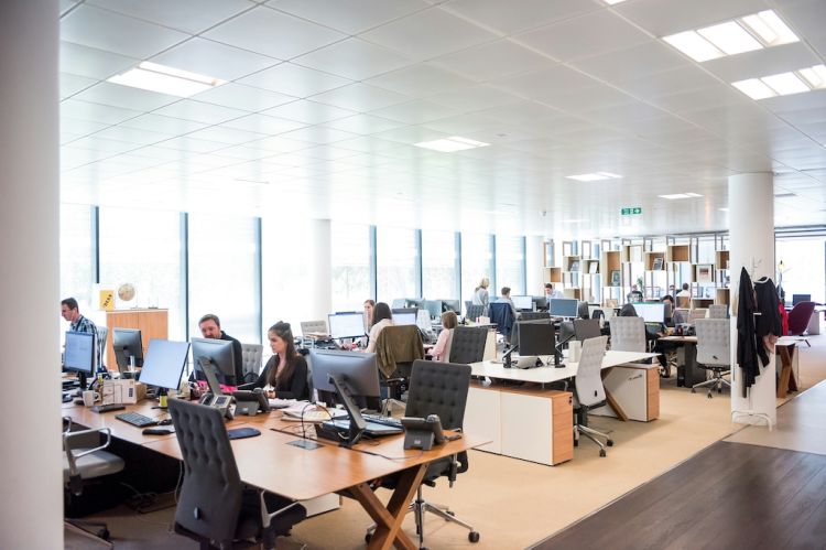 office workers sitting at desks in an open-office floorplan