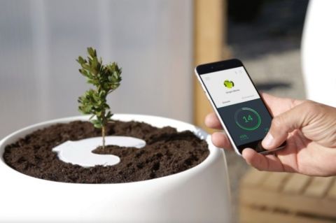 Long Run Mobile Solution
