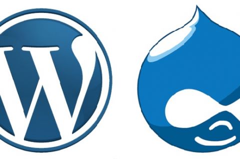 WordPress and Drupal Icons