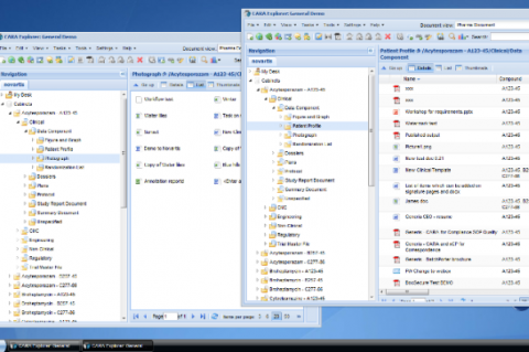 Desktop in a browser
