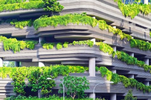 Greenery on a building